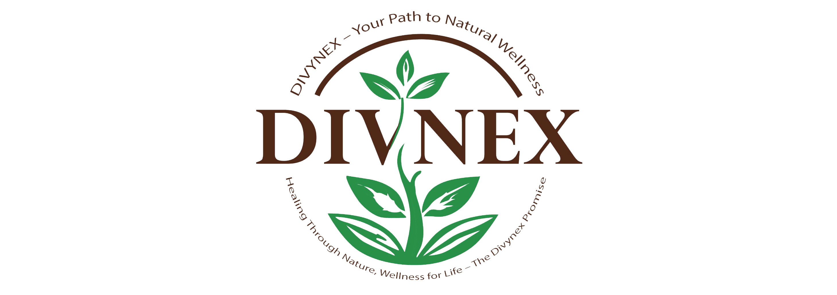 Divnex-3-e1741766650700